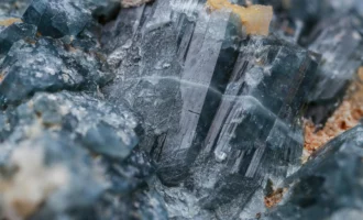 pexels-1138093-10284832