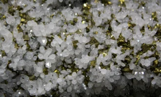 pexels-paulseling-12275702